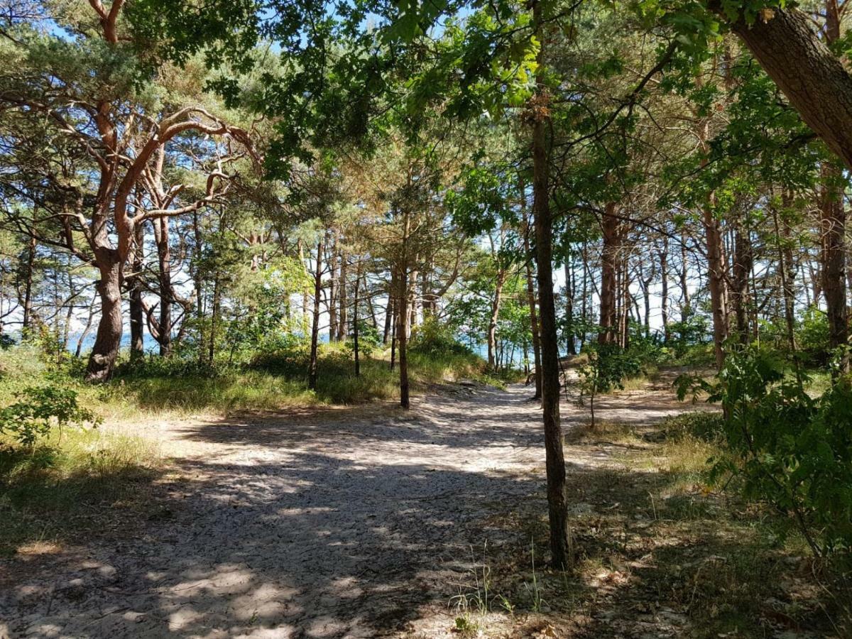 Heimathafen Prora, 3.Og Mit Meerblick 宾茨 外观 照片
